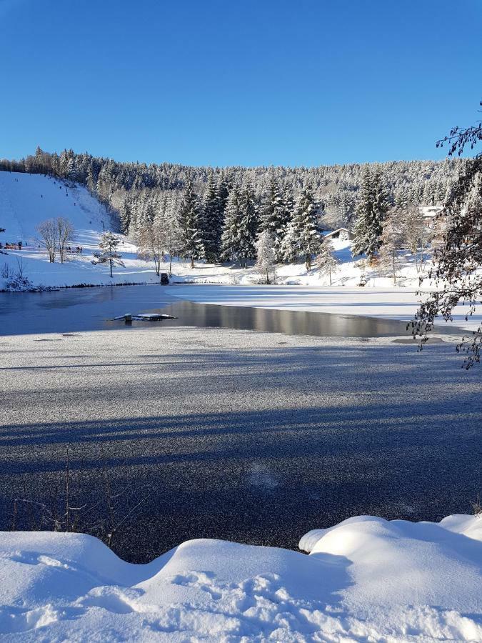 דירות Herrischried Jules Traum Im Schwarzwald מראה חיצוני תמונה