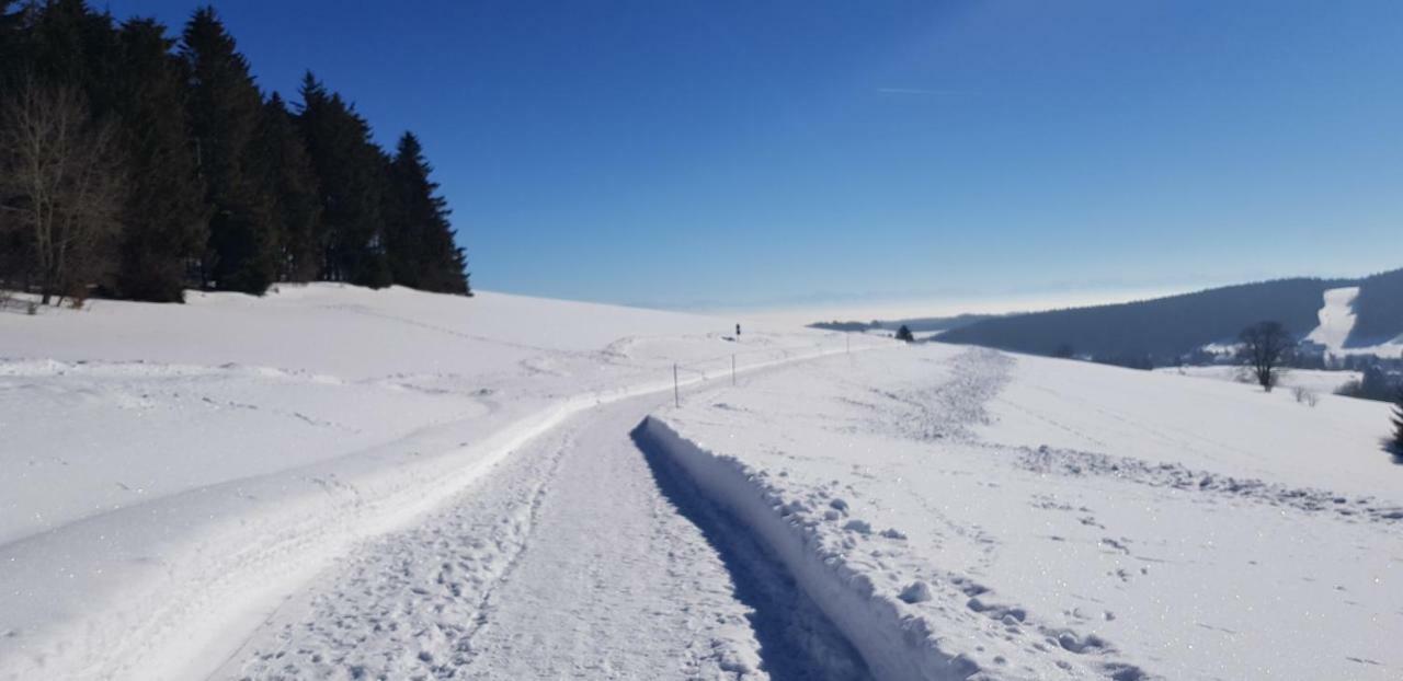 דירות Herrischried Jules Traum Im Schwarzwald מראה חיצוני תמונה