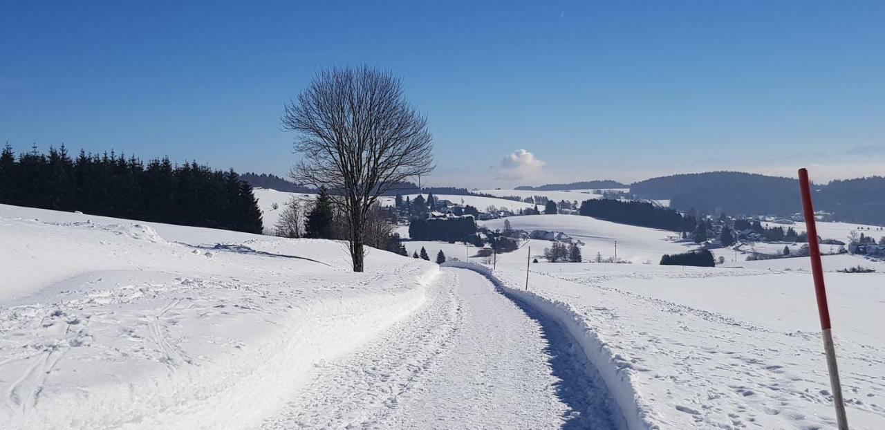 דירות Herrischried Jules Traum Im Schwarzwald מראה חיצוני תמונה